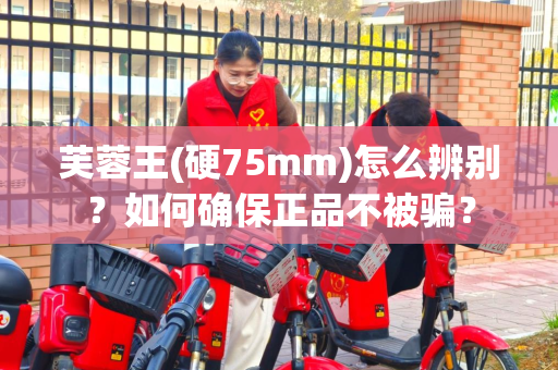 芙蓉王(硬75mm)怎么辨别？如何确保正品不被骗？